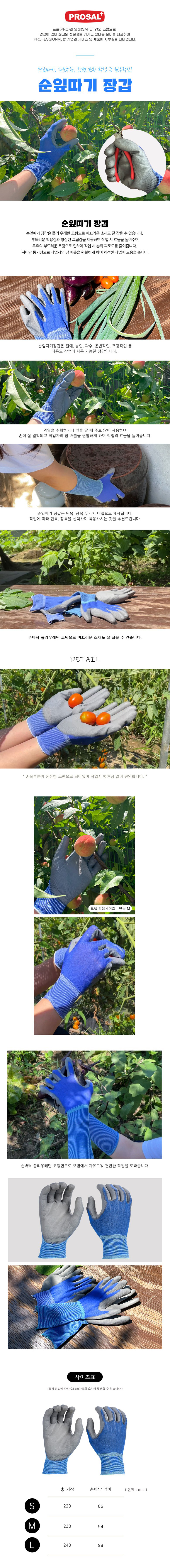 상세 설명 이미지